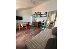 Apartmaji MM Apartma 1 – Apartman 1 foto 4