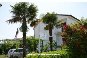 Villa Vienna – Novigrad