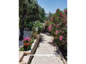 Apartmaji Milena i Robert