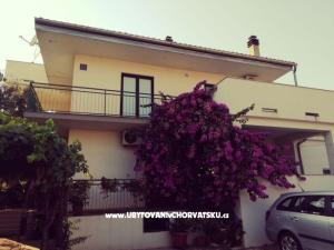 Apartmaji Danica