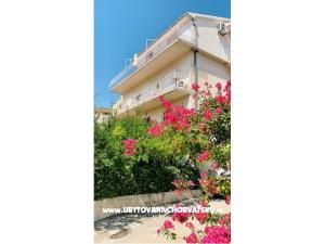 Apartmaji Šunde Podgora