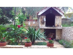 Apartmaji Ivana