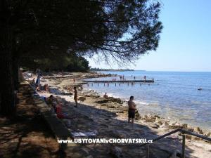 Apartmaji San Pelegrin