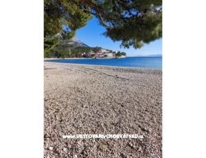 Apartma Anchy