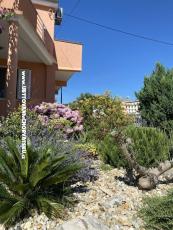 Apartma 