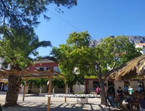 Apartmaji Plavi Jadran