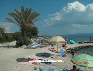 Apartmaji Banic