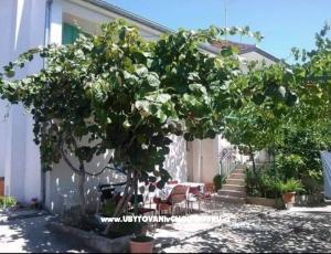 Apartma Marina