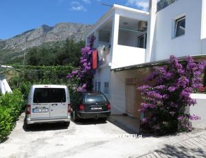 Apartmaji Delfin