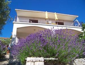 Apartmaji Stipišić