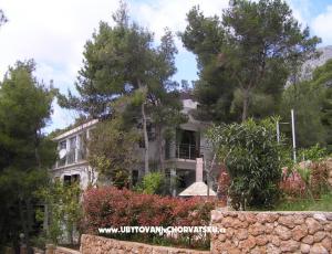 Apartmaji Villa Ypsilon