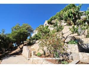 Apartmaji Ana