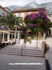 Apartmaji Potts Point