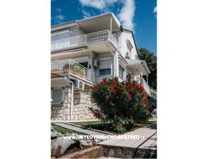 Apartmaji Ada