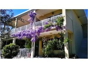 Apartmaji Marijela