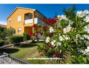 Apartma Agava Seline