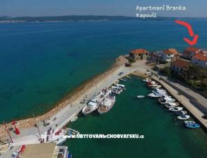 Apartmaji Branka