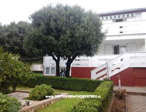 Apartmaji Neda 