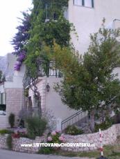 Apartmaji Antonela Drašnice