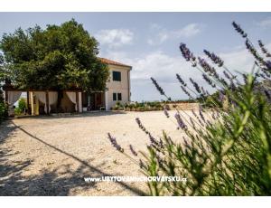 Apartmaji Andreja
