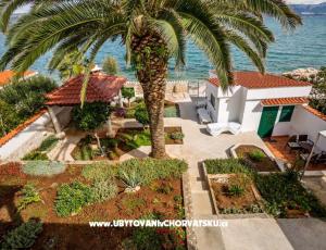 Apartmaji Antonia