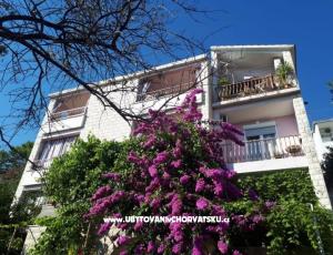 Apartmaji Moso
