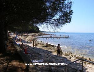 Apartmaji San Pelegrin