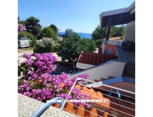 Apartmaji Delfin