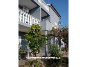 Apartmaji Ivica- Livi 