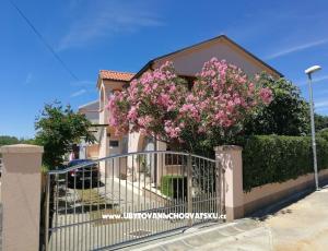 Apartma Mira