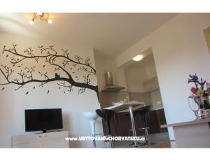 Apartmaji Zora