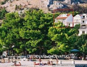 Apartmaji Ajduk