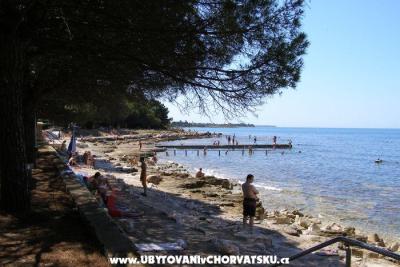 Apartmaji San Pelegrin