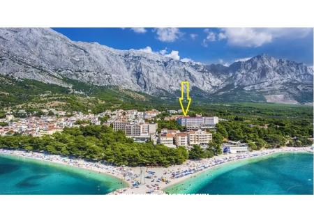 Ruža Baška Voda Hrvaška