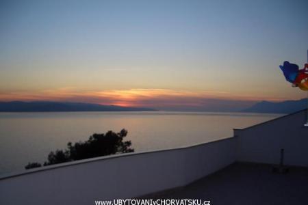 Apartmaji Covic foto 2