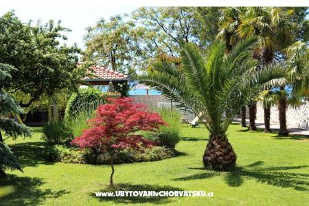 Dragan Apartmaji foto 5