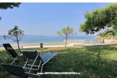 Puntarožica Bibinje Hrvaška