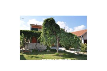 Apartma Smilja     foto 5
