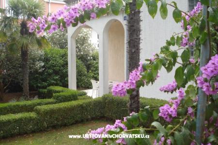Apartma Veka foto 2