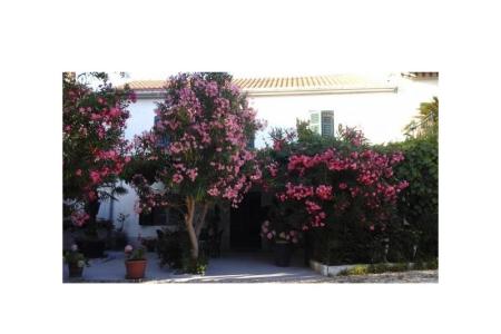 Apartmaji Gabi foto 2