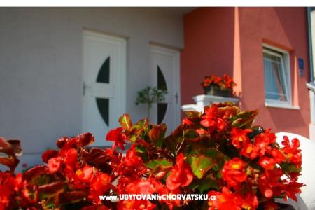 Apartmay Kus foto 4