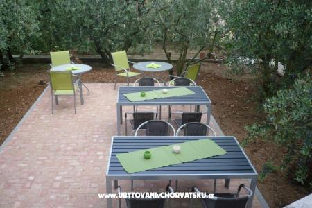 Apartmaji Olive foto 4