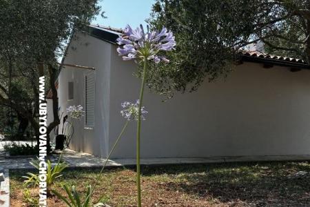 Primorje – Biograd Hrvaška