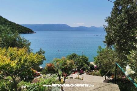 Apartmaji Maja Blace Hrvaška