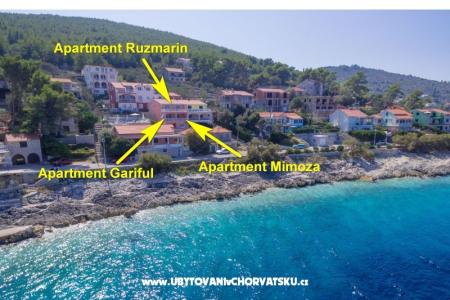 Apartmaji Andrijic foto 4