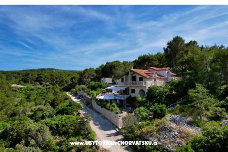 Apartmaji Villa Dragica foto 5