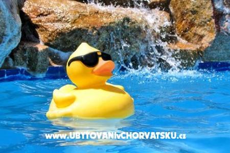 Apartmaji St. Ivan otok Brač Hrvaška