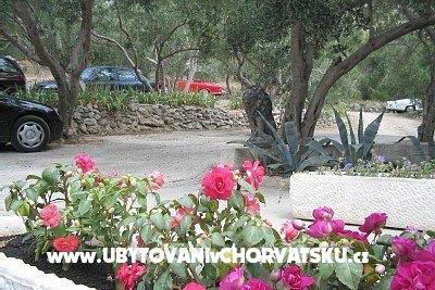 Apartmaji Nada Mustapić foto 3