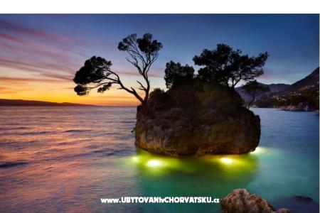 Apartmaji Perla foto 3