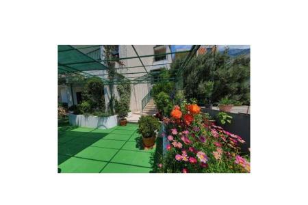 Apartmaji Ribičić Brela foto 4